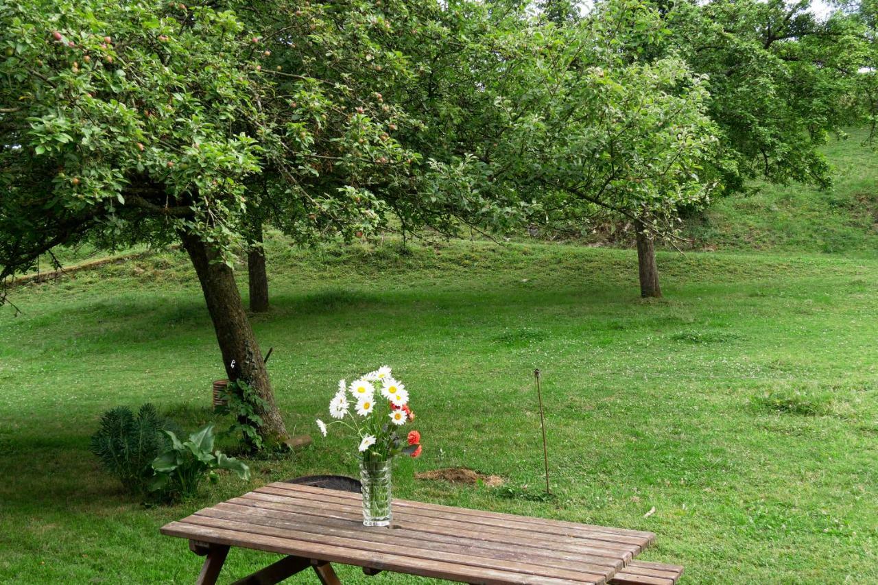 La Petite Maison O Bord De L'Eau Bernieres-le-Patry Екстериор снимка